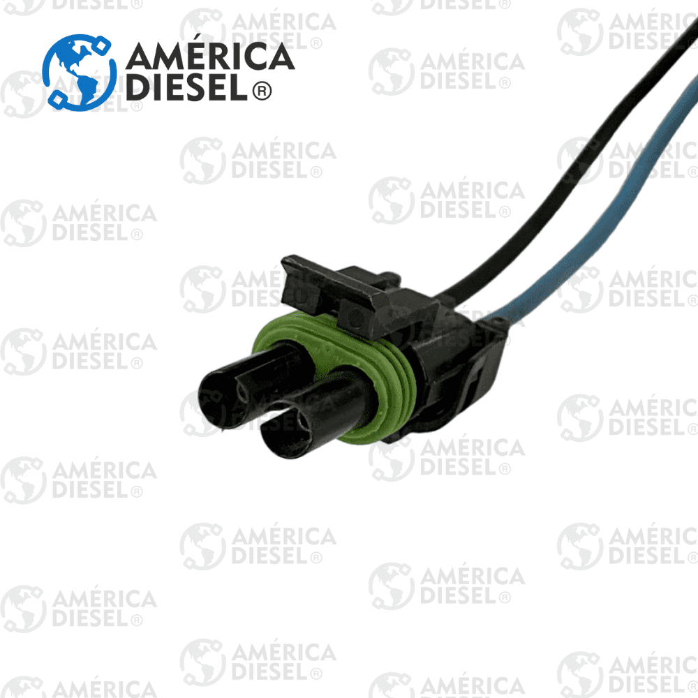 Conector Wp 2"